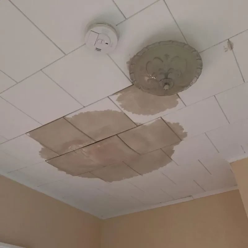 Ceiling Water Damage Repair in Little Valley, NY